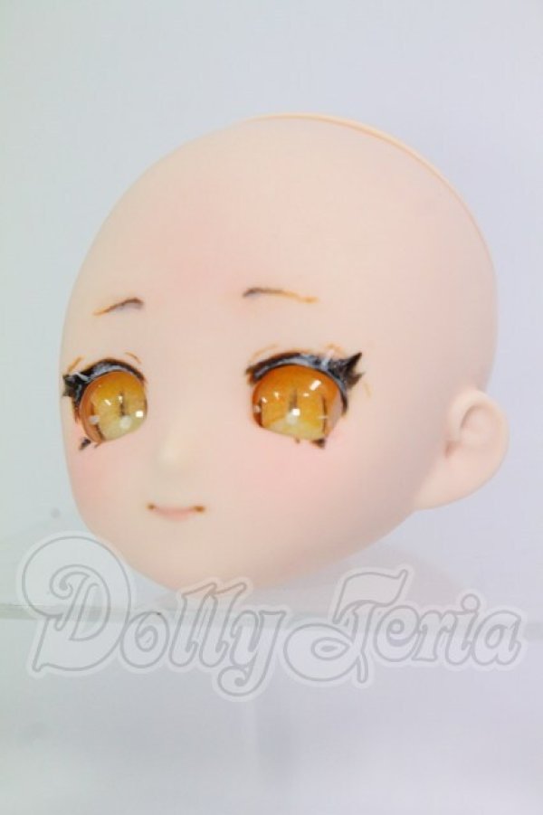 画像2: パラボックス/PB6006-B Aiちゃんヘッド カスタム I-26-10-15-054-KD-ZI (2)