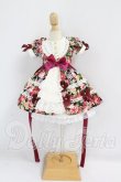 画像1: MDD/OF:ワンピース I-26-10-29-259-KD-ZI (1)