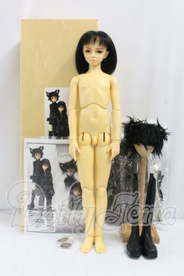 画像5: SD13男の子/黒猫ルカ I-26-10-15-164-KD-ZI (5)
