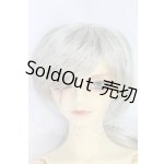 画像: SD17BOY/レイズナー ザ・スカーフェイス ザ・シャドウ オブ キャプテンver I-26-10-15-173-KD-ZI