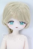 画像1: 「眠光Mofu」男の子 植毛タイプ 特1/6スケール BJDブラインドドールシリーズ I-26-10-15-239-KD-ZI (1)