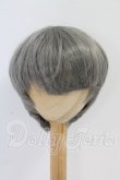 画像1: 8-8.5inch/ウィッグ I-26-10-15-227-KD-ZI (1)