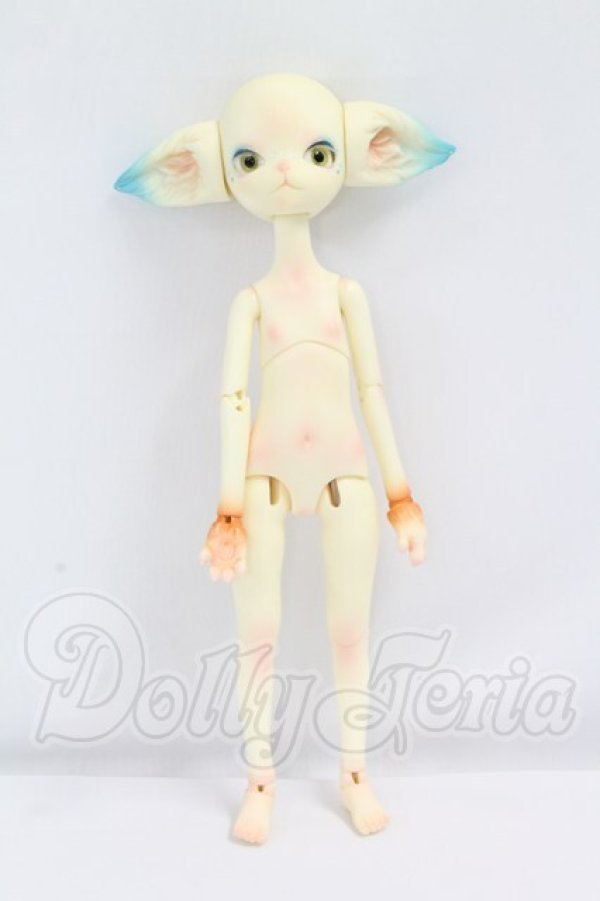 画像4: Dollzone/Miss Kitty I-26-10-29-348-KD-ZI (4)