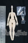 画像2: azone/ピコニーモR　TYPE－S　ボディ I-26-10-22-125-KD-ZI (2)