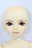 画像6: MSD/ヒューイ I-26-10-22-381-KD-ZI (6)