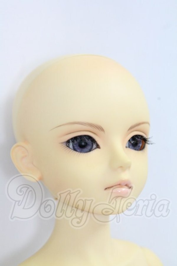 画像8: MSD/ヒューイ I-26-10-22-381-KD-ZI (8)