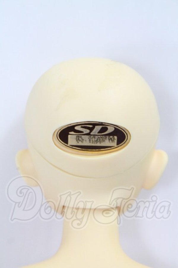 画像9: MSD/ヒューイ I-26-10-22-381-KD-ZI (9)