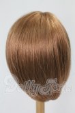 画像2: 9-10inch/ウィッグ I-26-10-22-291-KD-ZI (2)
