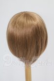 画像2: 9-10inch/ウィッグ I-26-10-22-292-KD-ZI (2)