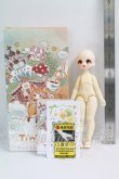 画像6: TinyFox/バタフライクノイチ カカフ I-26-10-29-248-KD-ZI (6)