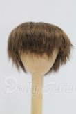 画像1: 7-8inch/ウィッグ I-26-10-29-015-KD-ZI (1)
