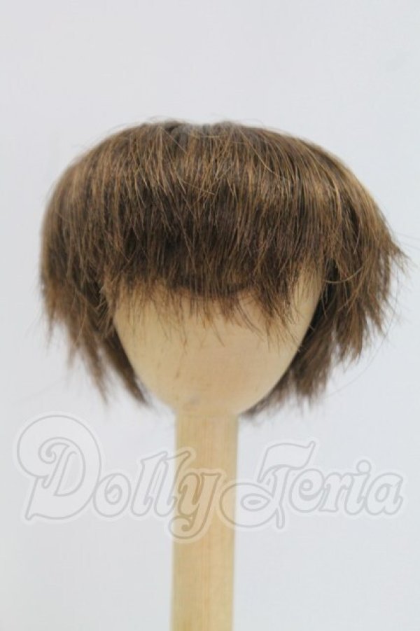 画像1: 7-8inch/ウィッグ I-26-10-29-015-KD-ZI (1)