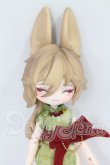 画像1: 不可食用人形 Inedible Doll/月飛び時間シリーズ梧秋 I-26-10-29-222-KD-ZI (1)