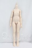 画像1: MDD/ベースボディ(DD-f3) I-26-10-29-371-KD-ZI (1)