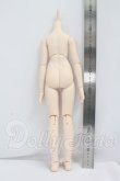 画像2: MDD/ベースボディ(DD-f3) I-26-10-29-371-KD-ZI (2)