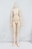 画像1: MDD/ベースボディ(DD-f3) I-26-10-29-374-KD-ZI (1)