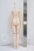 画像2: MDD/ベースボディ(DD-f3) I-26-10-29-375-KD-ZI (2)