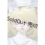画像: gem of doll/1/4 Dead maid nurse,Sig2r fullset A-26-05-19-372-TN-ZA