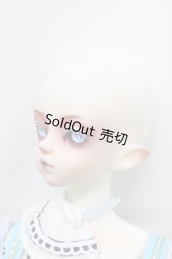 画像3: gem of doll/1/4 Dead maid nurse，Sig2r　fullset A-26-05-19-372-TN-ZA (3)
