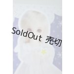 画像: 幼SD/たんぽぽ2ndmake Ver. U-23-12-27-201-TN-ZU
