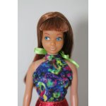 画像: barbie vintage skipper A-24-05-01-1128-TN-ZU