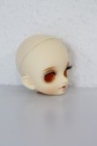 画像3: BJD CROBI　annヘッド A-23-12-06-329-TN-ZU (3)