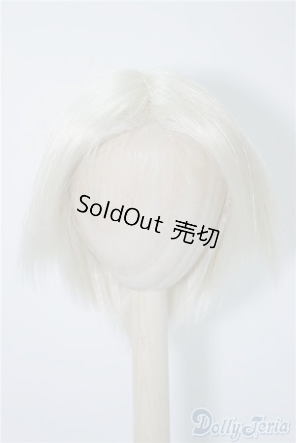 画像1: 9〜10inch/ウィッグ U-24-10-08-032-TN-ZU (1)