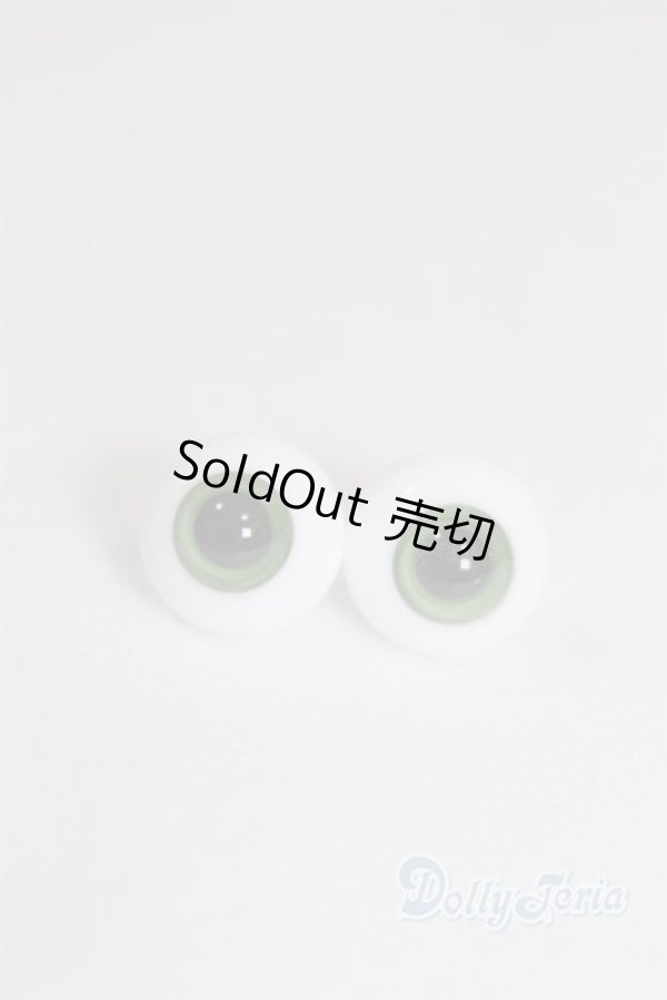 画像1: グラスアイ12mm未使用新品 U-25-03-11-251-TN-ZU (1)