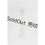 画像: 9〜10inchウィッグ未使用新品 U-24-09-17-282-TN-ZU