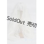 画像: 9〜10inchウィッグ未使用新品 U-24-09-17-283-TN-ZU
