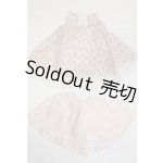 画像: SD&DD/OF:ワンピース U-24-09-03-077-TN-ZU