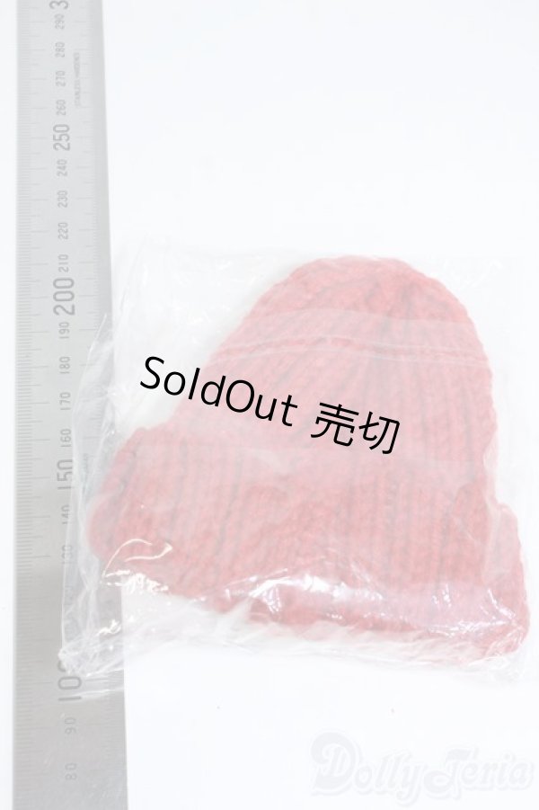 画像2: 【新品】SD/OF：ニットキャップ Y-25-08-27-209-TN-ZY (2)