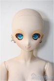 画像1: DDS/アキラ Y-24-12-25-265-TN-ZY (1)