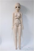 画像4: DDS/アキラ Y-24-12-25-265-TN-ZY (4)
