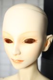 画像3: spiritdoll/ヘッド＆male　eleganceボディ Y-24-02-28-001-TN-ZY (3)