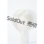 画像: 9〜10inchウィッグ U-24-09-03-021-TN-ZU