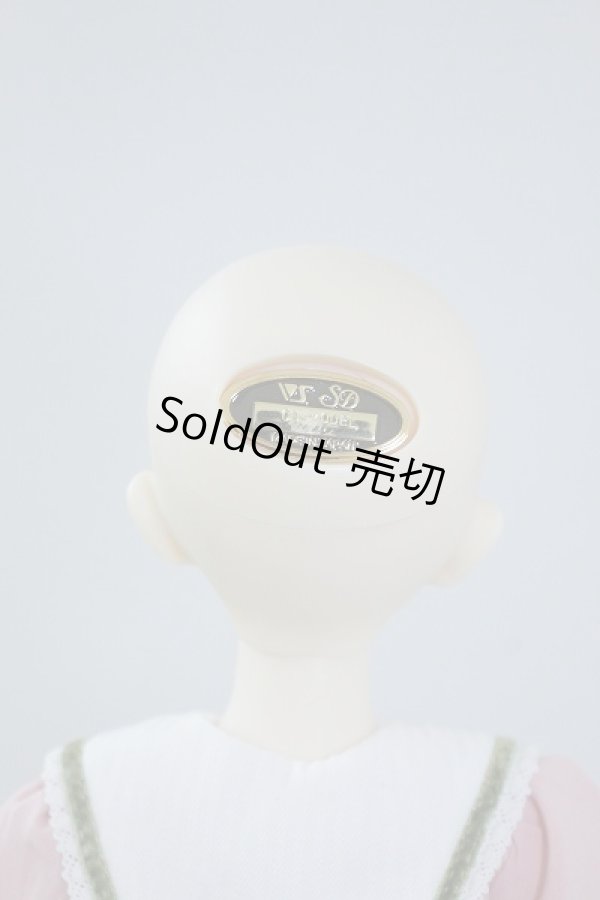 画像5: SDMGIRL/コーディネイトモデル:F-45 U-23-11-01-208-KN-ZU (5)