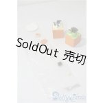 画像: カプセルトイ/3点セット A-25-07-16-1080-TN-ZU