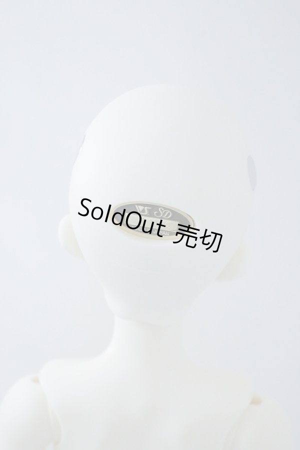 画像5: SDGr/フルチョイスF-103オーダーメイク里限定 U-23-11-15-220-TN-ZU (5)