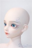画像4: Ring Doll/Morin　Fullset Y-25-02-26-122-TN-ZY (4)