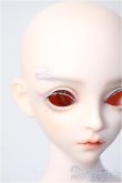 画像6: Ring Doll/Morin　Fullset Y-25-02-26-122-TN-ZY (6)