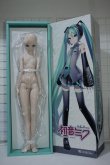 画像1: DD /初音ミク Y-24-03-27-051-NY-ZY (1)