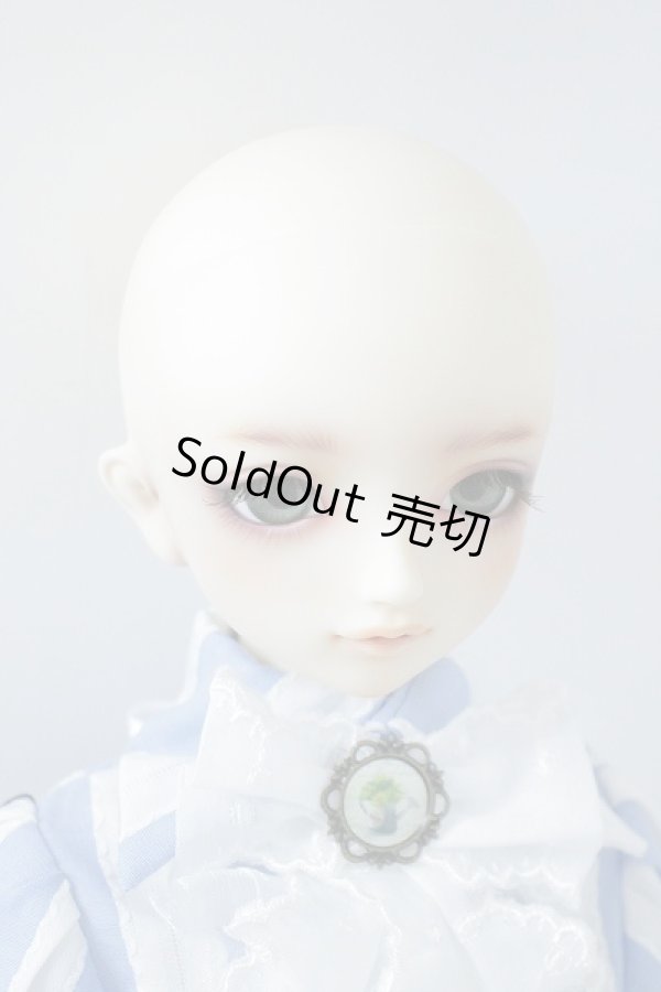 画像4: SD男の子/ワンオフここ（F-60）luluco様 U-23-11-22-214-TN-ZU (4)