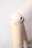画像4: オビツ60/ボディ Y-25-02-19-246-YD-ZY (4)