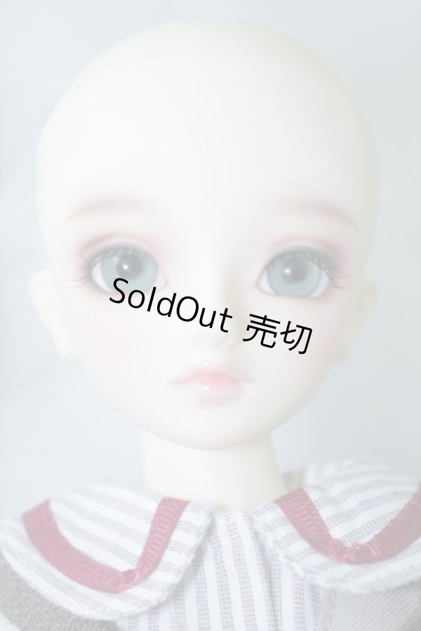 画像3: SDMG/コーディネートモデルF-30 U-24-01-03-214-TN-ZU (3)