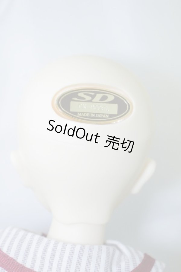 画像6: SDMG/コーディネートモデルF-30 U-24-01-03-214-TN-ZU (6)