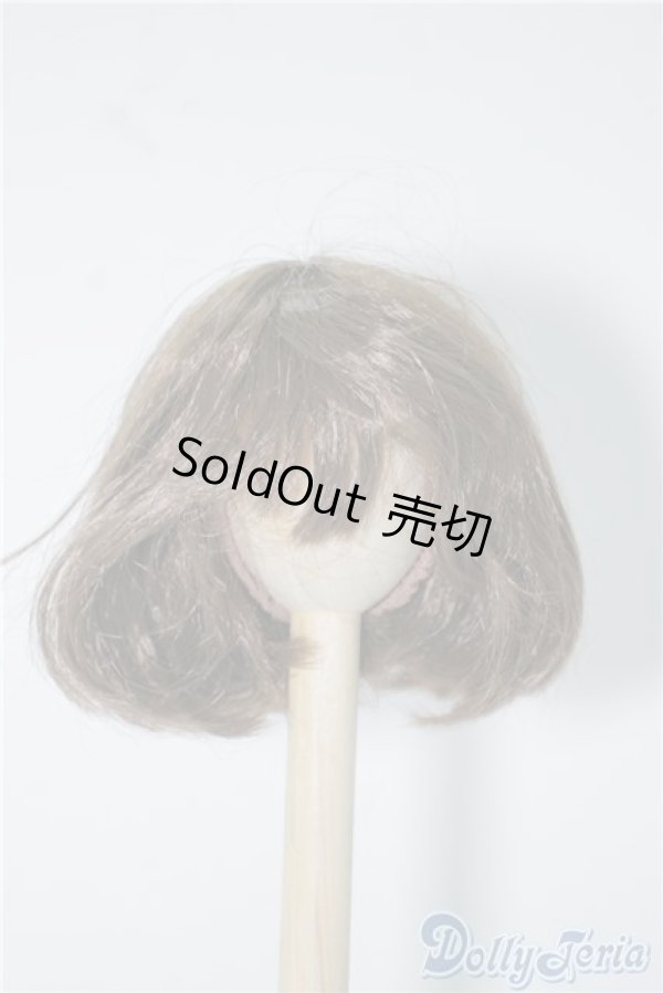 画像1: 6〜7inchウィッグ U-24-09-03-025-TN-ZU (1)