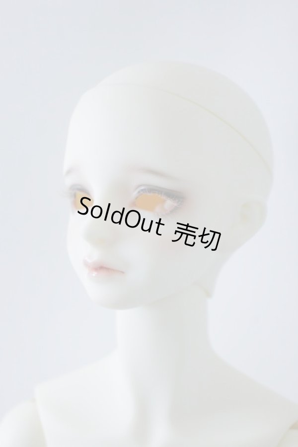 画像3: SDGｒBボディ＆DWC-01カスタムメイクヘッド U-23-12-13-213-TN-ZU (3)