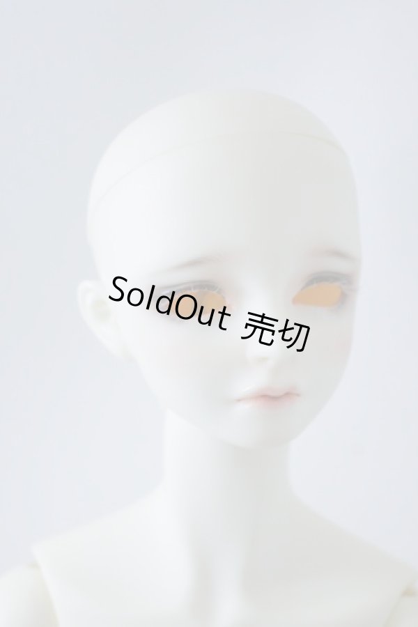 画像4: SDGｒBボディ＆DWC-01カスタムメイクヘッド U-23-12-13-213-TN-ZU (4)