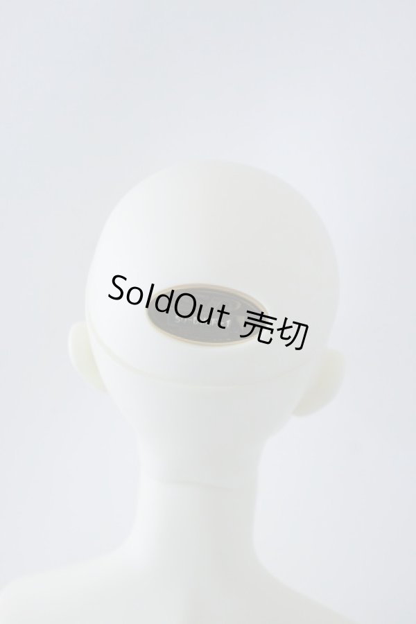 画像5: SDGｒBボディ＆DWC-01カスタムメイクヘッド U-23-12-13-213-TN-ZU (5)